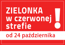 grafika